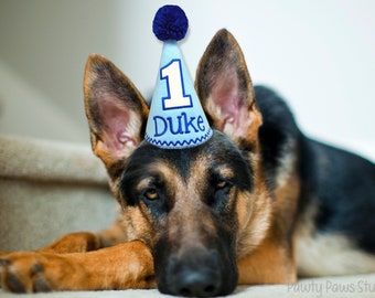 Dog Birthday Hat Blue, Cake Smash Hat, Boy Dog Party Hat, Dogs First Birthday, Pet Birthday, Birthday Hat, Photo Prop, Gotcha Day