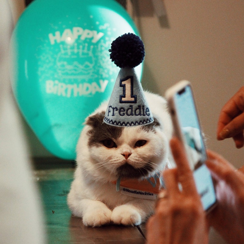 Dog Birthday Hat Blue Cake Smash Hat Boy Dog Party Hat Dogs Etsy