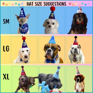 Op de afbeelding: Een tabel met de titel "HAT SIZE SUGGESTIONS" toont honden en een kat met feesthoeden. De maten zijn SM, LG en XL. De huisdieren dragen hoeden met nummers en namen. De kat draagt een blauwe "Birthday Boy" bandana.