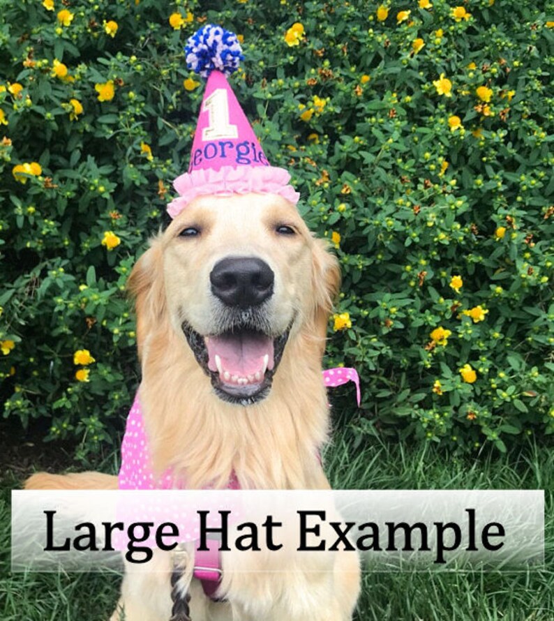 Dog Birthday Hat Fun Rainbow Colors with Fur Pompom and Etsy