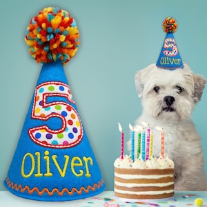 May include: A blue birthday party hat with a large number 5 and the name "Oliver" in yellow. A small cake with lit candles sits in front of a white dog wearing a matching hat. The hat has a colorful pom-pom on top.