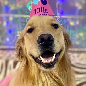 Op de afbeelding: Een Golden Retriever met een roze feesthoed met de naam "Ellie" en ballonnen. De hond lacht breed, alsof hij een verjaardag viert.