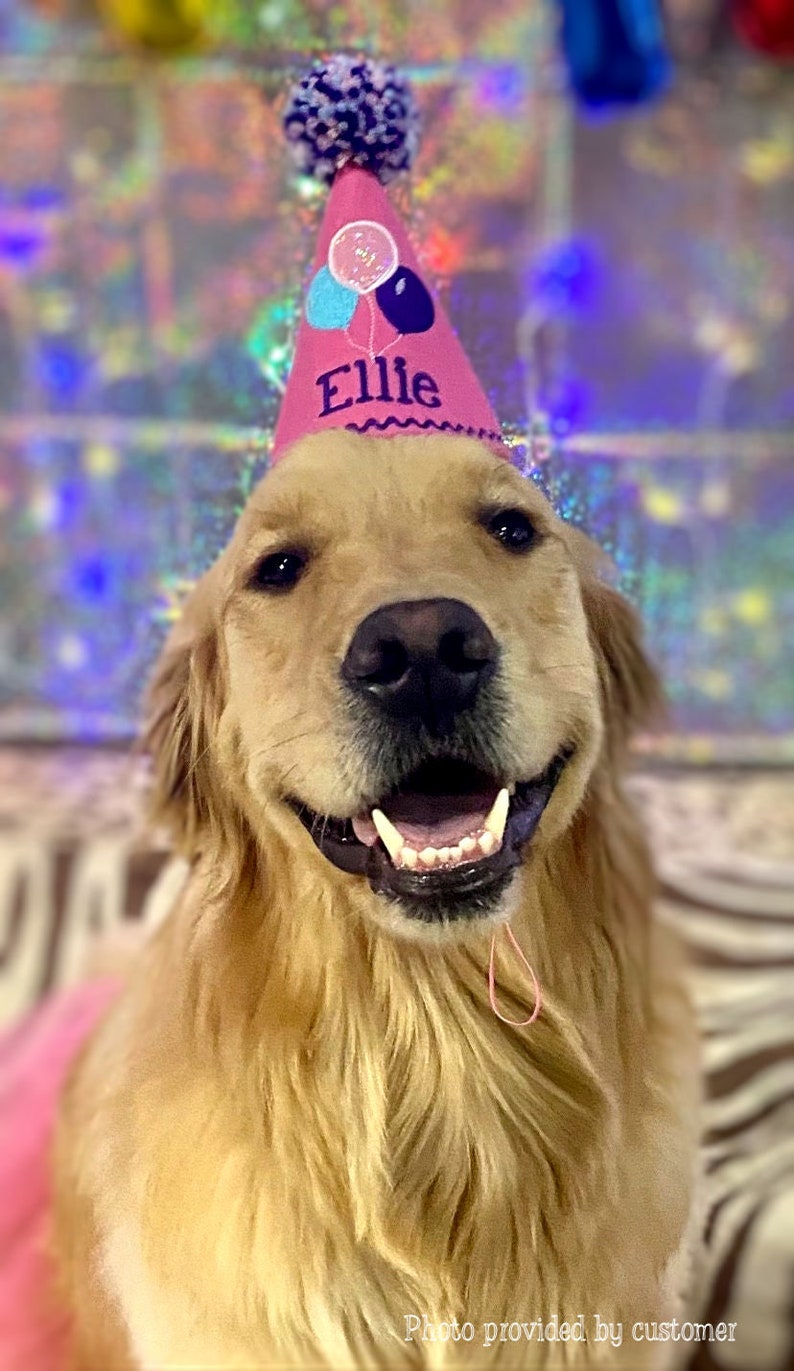 Op de afbeelding: Een Golden Retriever met een roze feesthoed met de naam "Ellie" en ballonnen. De hond lacht breed, alsof hij een verjaardag viert.