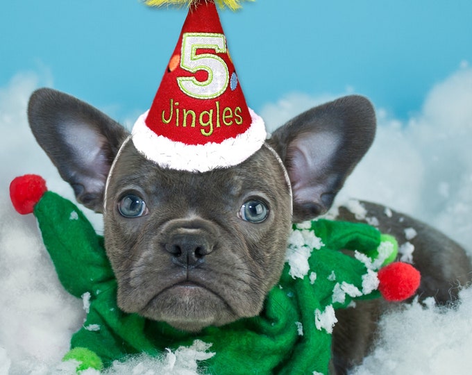 Christmas Lights Dog Party Hat Personalized for Pet Birthday, Dog Christmas Party, Gifts for Pets, Christmas Dog Outfit, Embroidered Hat