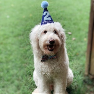 Dog Birthday Party Hat Blue Gingham Personalized, Cake Smash Hat, Gotcha Day Party, Dogs First Birthday, Pet Birthday, Photo Prop image 7