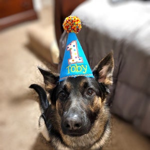 May include: A German Shepherd dog wearing a blue birthday party hat with the number 1 and the name "Toby" embroidered on it. The hat is decorated with a colorful pom-pom on top.