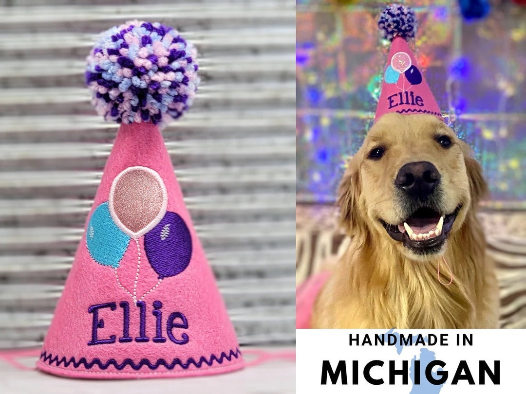 Dog Birthday Hat With Embroidered Balloons in Candy Pink, Personalized
