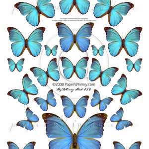 PaperWhimsy Digital Download Collage Sheet Digisheet 056 PDF