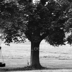 Options for #660 Tire Swing Photograph Greeting Card Cards for when you care enough to send handmade! Photograph/Matted/Canvas/Pillow/Framed