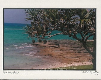 678 5x7 Matted Bermuda Signed Photography Photograph Print