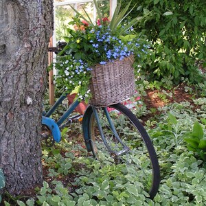 755 D45 5x7 Matted Blooming Basket Bike Signed Photography Photograph Print
