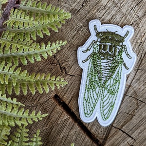 cicada art | cicada patch | cicada embroidered patch | cicada gift | cicada accessory