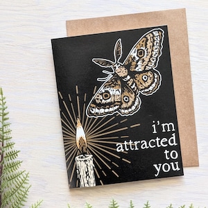 amour de papillon de nuit | carte d'amour | carte d'amant | carte papillon | carte partenaire | carte d'anniversaire | carte pour amoureux des mites | carte papillon empereur | Papillon empereur