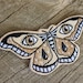 see more listings in the Correctifs section