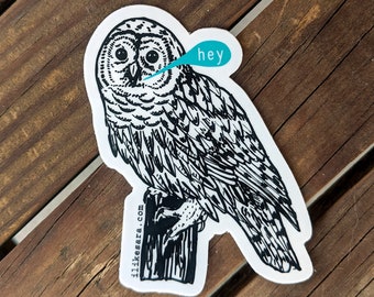 owl sticker | bird sticker | bird illustration | animal sticker | water bottle sticker