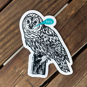 owl sticker | bird sticker | bird illustration | animal sticker | water bottle sticker