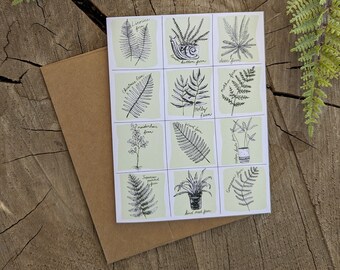 Illusrated Fern Greeting Anytime Card