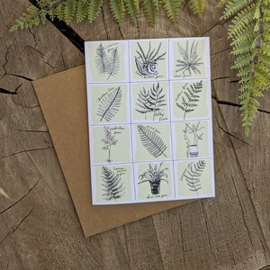 Carte de vœux | Carte Fern | Carte de plante | Carte à tout moment | Dessin de fougère | Art de la fougère