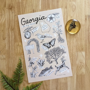 Stampa artistica con simboli dello stato della Georgia: poster souvenir illustrato