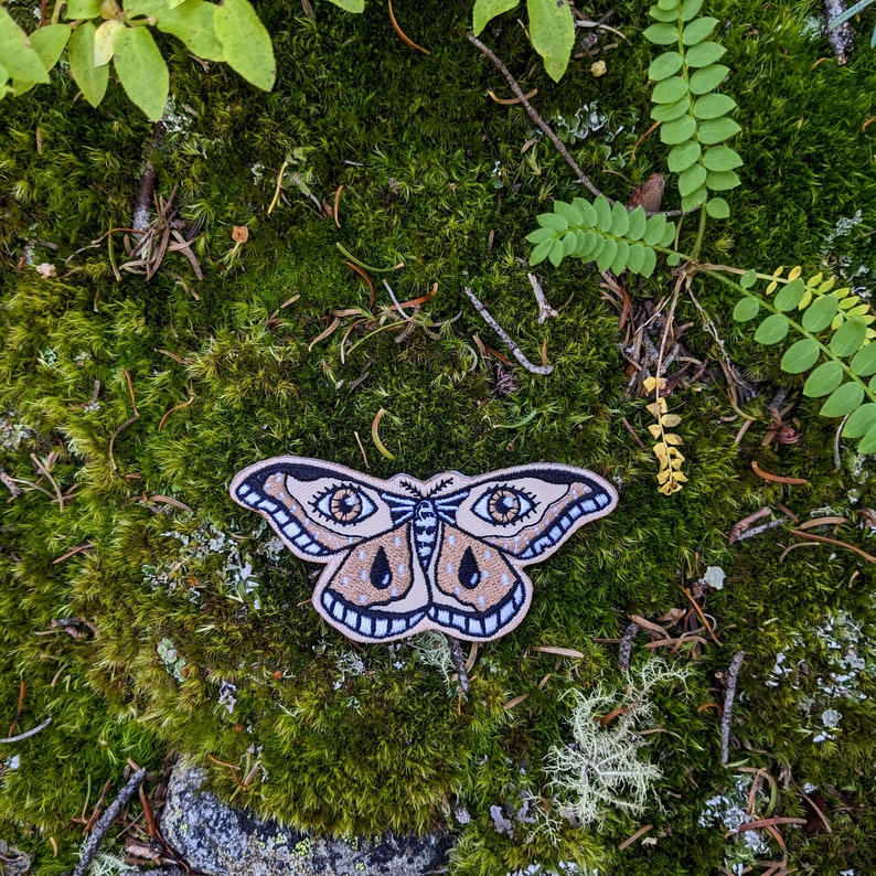 moth patch moth gift insect patch bug patch forest patch woodland patch embroidered patch nature patch image 4