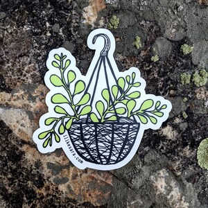 plant sticker succulent sticker houseplant sticker hanging plant sticker hanging plant plant art cactus sticker image 2