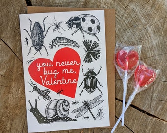 Puede incluir: Una tarjeta de San Valentín con un corazón rojo y el texto "Nunca me molestas, Valentín". La tarjeta está decorada con varios insectos, incluyendo una mariquita, una libélula y un caracol.