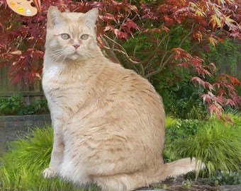 CUSTOM CAT PORTRAIT - Cat Portrait from Photo on Canvas - Personalized Pet Portrait - Cat Portrait - Custom Cat Painting