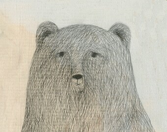 Grizzly Bear -  Art Print