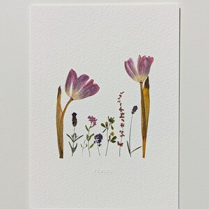 Pink Tulip Sanctuary - Stampa artistica di fiori pressati