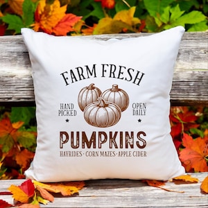 Farmhouse Pumpkin Pillow, Autumn Pumpkin Pillow, Cozy Fall Pillowcase, Seasonal Cushion for Fall Decor, Farmhouse Gift, Fall Throw Pillow