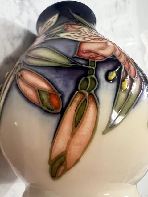 MOORCROFT Peruvian Lily 2003 Vase 4