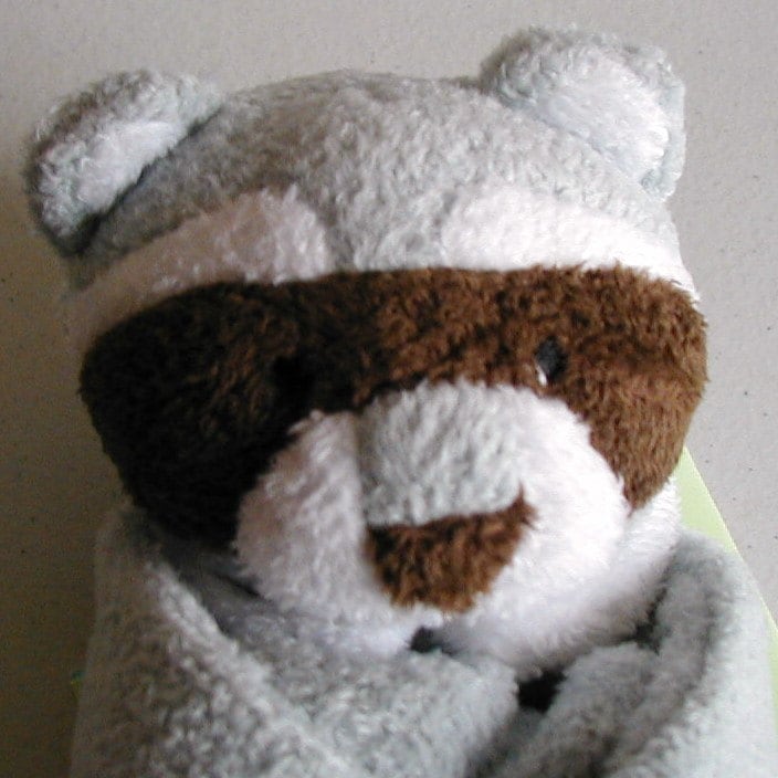 angel dear raccoon lovey