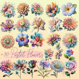 P30 Watercolor Vibrant Pastel Flower PNG, Pastel Floral Clipart PNG Bouquets, Elements, Commercial Use, Digital clipart, Tshirt Sublimation