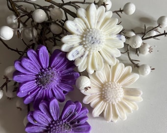 Pastillas de cera con forma de flor, cera de soja en escamas, calentadores de cera, paquete