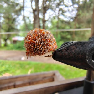 Dog Pellet Fly. Regular or Beadhead. Size 12