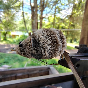 May include: A fishing fly designed to resemble a mouse, featuring a dense, textured body made of brown and white hair, small black bead eyes, thin black whiskers, and a long, flat brown tail attached to a gold-colored metal hook.