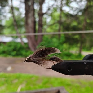 May include: A fishing fly lure featuring brown and grey mottled feathers, a metallic gold-coloured bead head, and a sharp metal hook. The lure is securely held in a black metal vice, showcasing the intricate arrangement of the natural fibres.