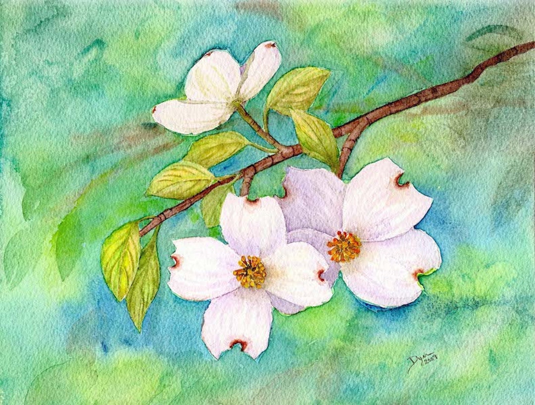 Dogwood Watercolor Note Cards NC State Tree - Etsy