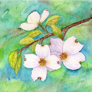 Hartriegel Aquarell Grußkarten National Baum