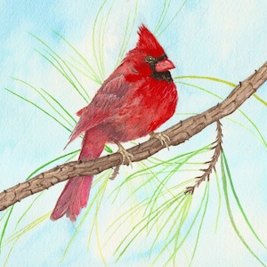 Notitiekaarten aquarel, doos van 8 inch
