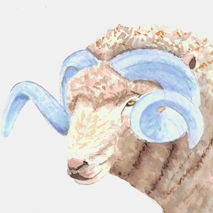 May include: Watercolor painting of a ram's head. The ram has light blue horns, a tan face, and a fluffy, light brown and tan coat. The ram's eye is yellow, and the background is white.