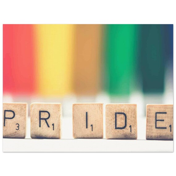 Pride Game Museum-Quality Matte Paper Poster