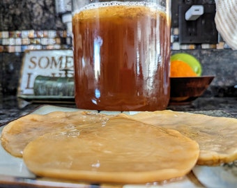 Organic Kombucha SCOBY Pellicle and Starter Tea