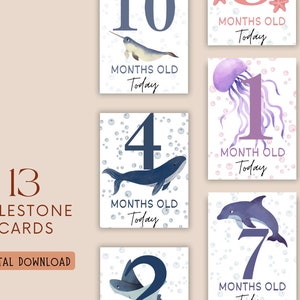 13 cartes jalons bébé Under the Sea, cartes mensuelles imprimables 4 x 6 pouces, cadeaux de baby shower, accessoires photo jalons bébé, cartes thème nautique