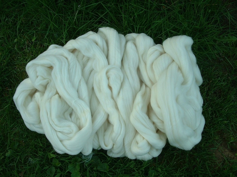 Five Pounds Merino Wool Top for Spinning Felting Dyeing USA Etsy