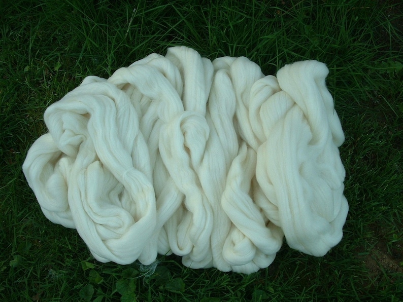 Five Pounds Rambouillet Wool Top for Spinning Felting Dyeing Product of the USA Low Ship Cost image 1