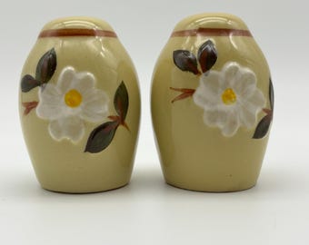 Salero y pimentero vintage de cerámica Stangl con forma de magnolia