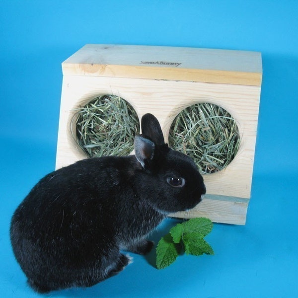SaveABunny's Hay Saver- Double Hole Box
