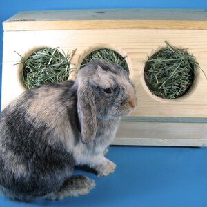 SaveABunny's Three Hole Hay Saver Box image 3