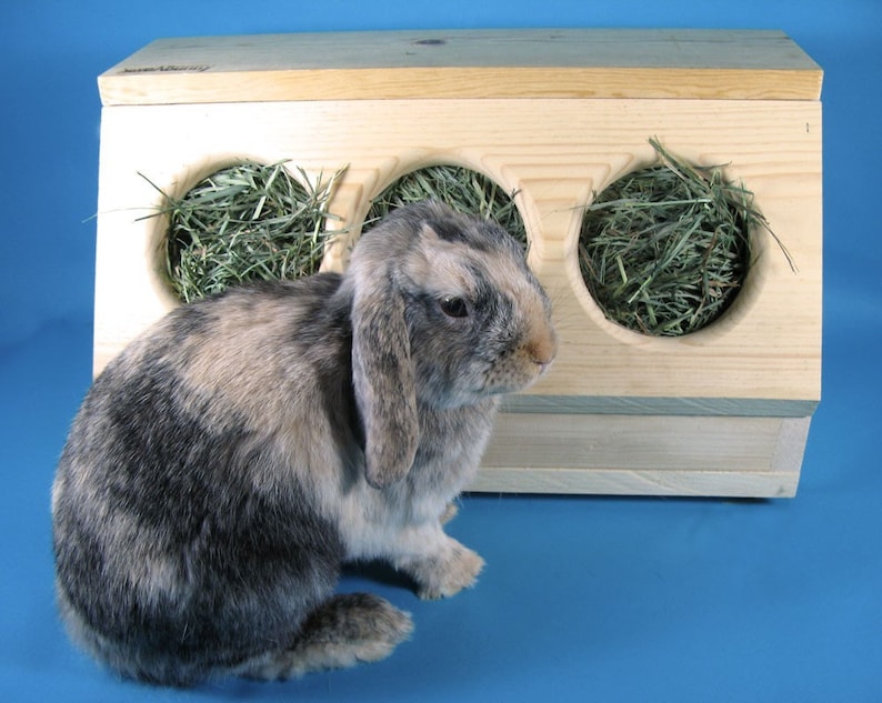 SaveABunny's Three Hole Hay Saver Box image 2